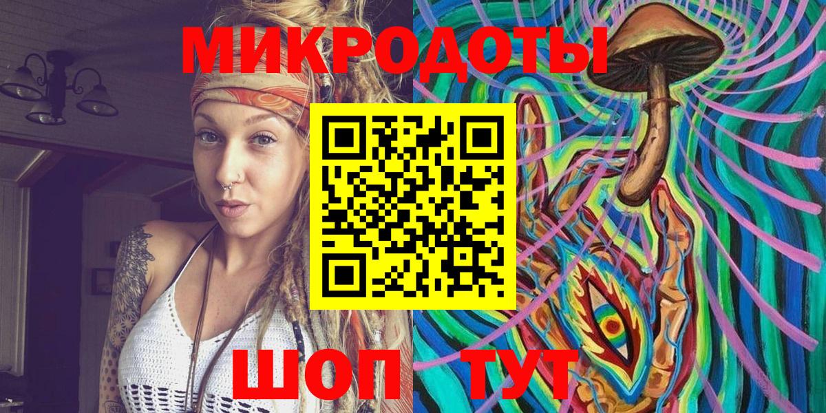 Псилоцибиновые грибы Psilocybe Химки